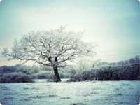 адвокат макаров похудел