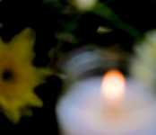 ��������������� ������ �����