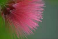 ������ �����