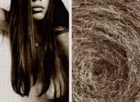 ������ ���� �����