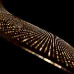 ���� ������ ��������