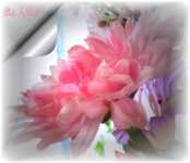 диета бесплатно