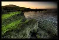 ����� ��� �������� ����