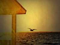 ����� ����� 60 �������