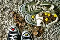 диета на овсянке