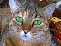 ����� �������� �� 20 ��