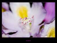 ����� ������� ����������