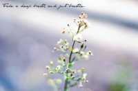 форум 25 кадр похудеть