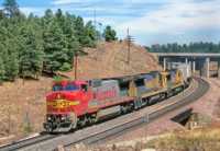 ���� ����������