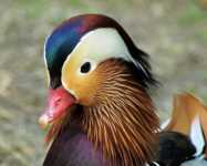 ��������� ����� �� � ������