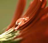 как похудел соловьев