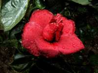 ��� �������� �������� 1 �������