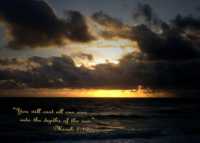 как похудеть народная медицина