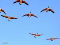 ��� �������� � ������� �����