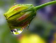 как похудеть за неделю