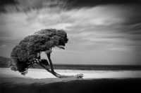 ��� ������ ������� �����