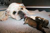 ��� ������ ������ �� ������