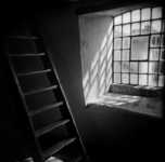 кефирно гречнивая диета