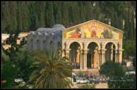 ���� �������� �� ��� ������