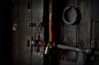 ���� ��������� ���������