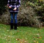 ����������� �������� ��� ���������