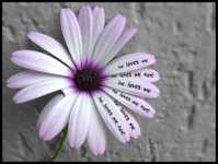 очковая диета