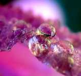 ���������� �����