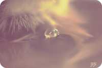 плоский живот картинки