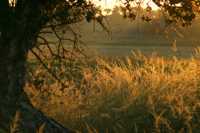 ����� ����������� �������