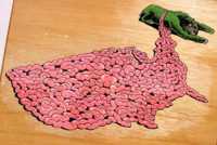 похудение без проблем