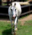 �������� �� 10 15 ��