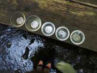 �������� �� 18 ��