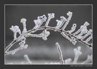 похудеть с помощью народной медицины