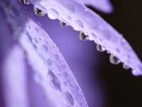 �������� �� 3 ������ ������