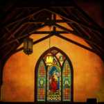 правильное питание для собак