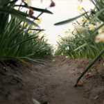 �������� ��� ��������� �����