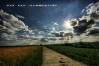 ������ �������� ���� ��� ���������