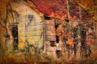 ����� ����� ������� ��������