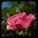 ������ ��������� ��� ���������