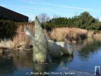 ������������ ��������� �������