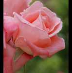 �������� ��� ��������� ������ ������