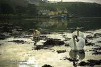 татьяна веденеева диета