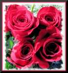 ���������� ��� ��������� ���