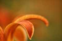 здоровое питание советы